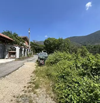 Foto annuncio 2