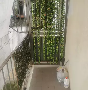 Foto annuncio 8