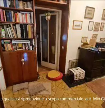Foto annuncio 7