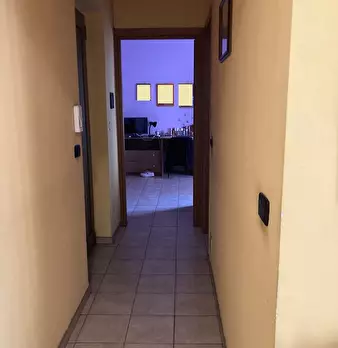 Foto annuncio 7