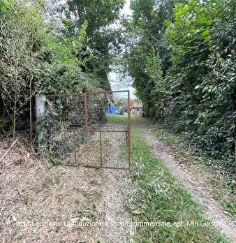 Foto annuncio 4