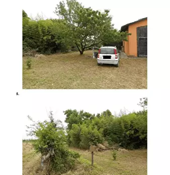 Foto annuncio 7