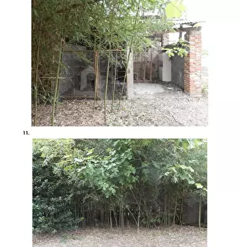 Foto annuncio 10