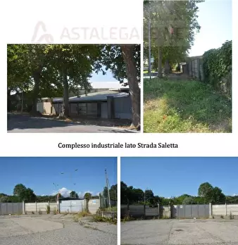 Foto annuncio 5