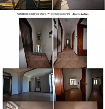 Foto annuncio 9