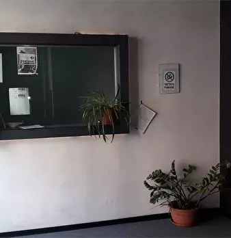 Foto annuncio 7