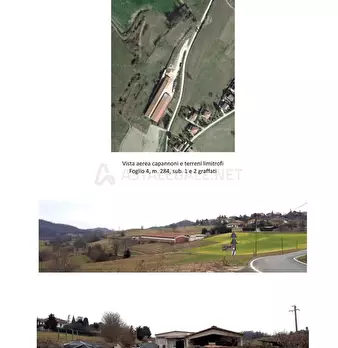 Foto annuncio 2