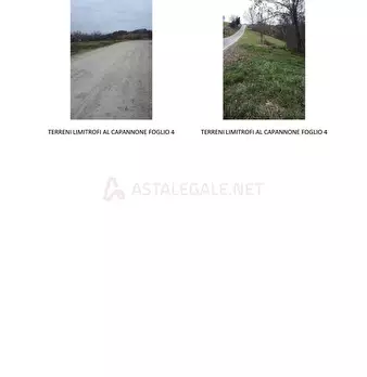 Foto annuncio 8