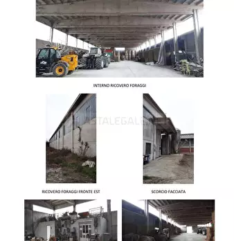 Foto annuncio 5