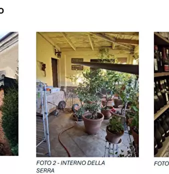 Foto annuncio 6