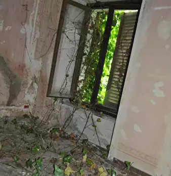 Foto annuncio 8
