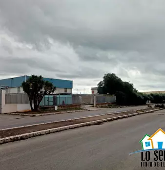 Foto annuncio 3