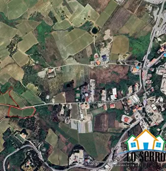 Foto annuncio 6