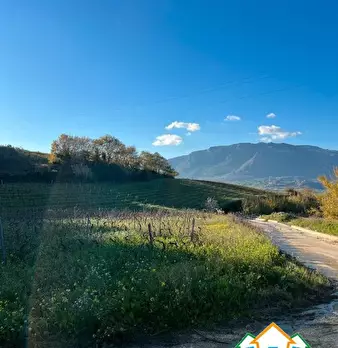Foto annuncio 3