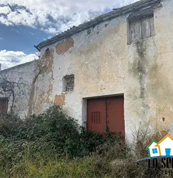 Foto annuncio 1