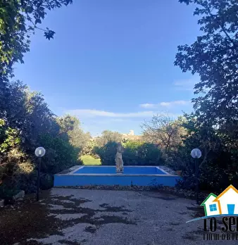 Foto annuncio 9