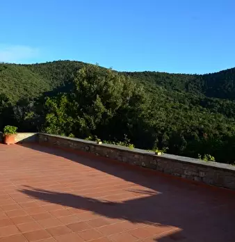 Foto annuncio 4