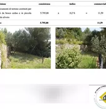 Foto annuncio 8