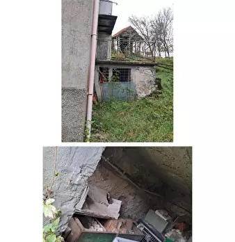 Foto annuncio 5