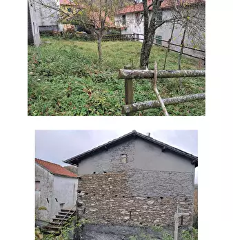 Foto annuncio 10