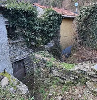 Foto annuncio 8