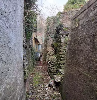Foto annuncio 9