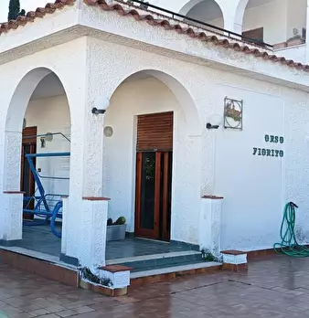 Foto annuncio 2