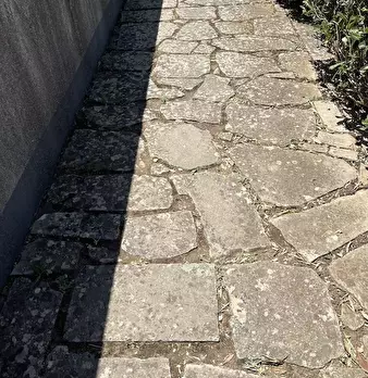 Foto annuncio 3