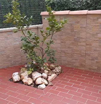 Foto annuncio 6