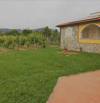 Foto annuncio 5
