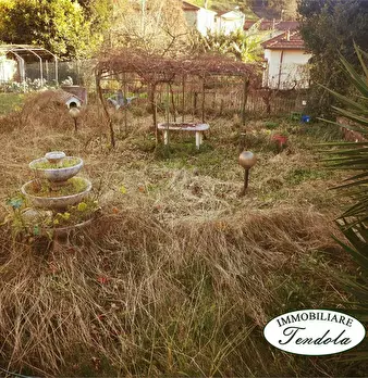 Foto annuncio 6