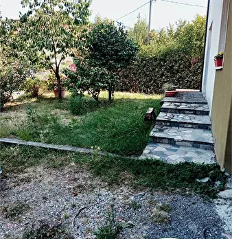 Foto annuncio 3