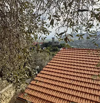 Foto annuncio 8