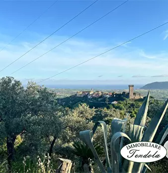 Foto annuncio 7