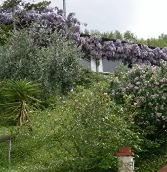 Foto annuncio 9
