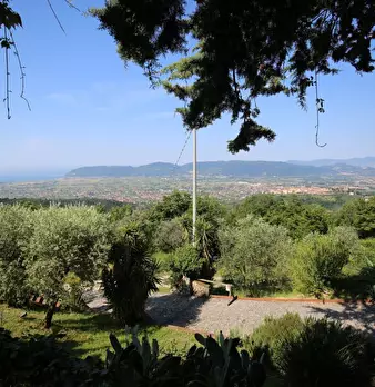 Foto annuncio 1