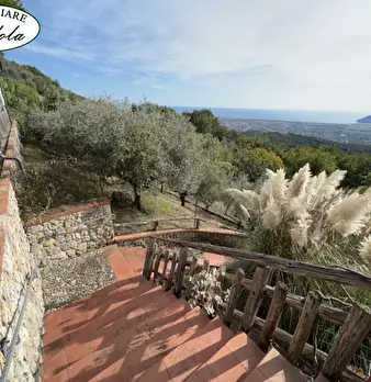 Foto annuncio 6