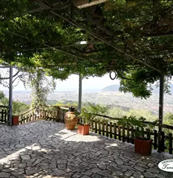 Foto annuncio 4