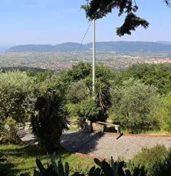 Foto annuncio 3