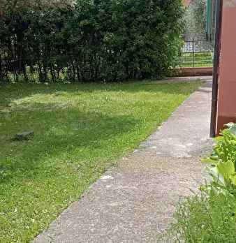 Foto annuncio 7