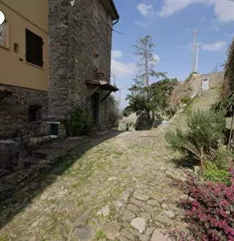 Foto annuncio 8
