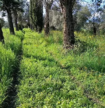 Foto annuncio 3