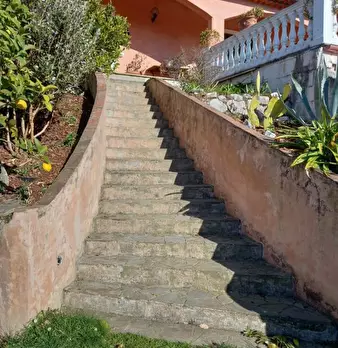 Foto annuncio 4