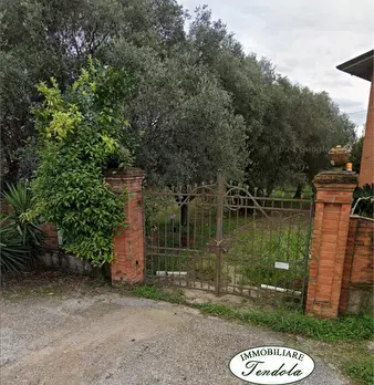 Foto annuncio 10