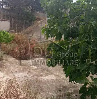 Foto annuncio 4