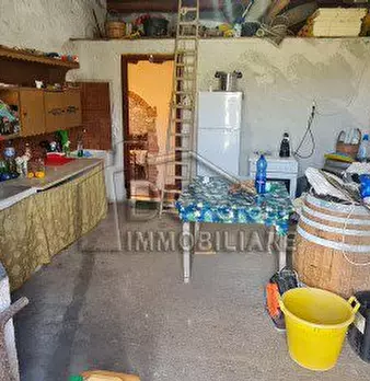 Foto annuncio 8