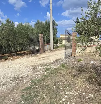 Foto annuncio 6