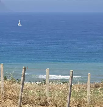 Foto annuncio 7