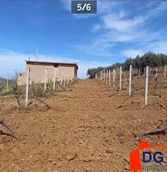 Foto annuncio 4
