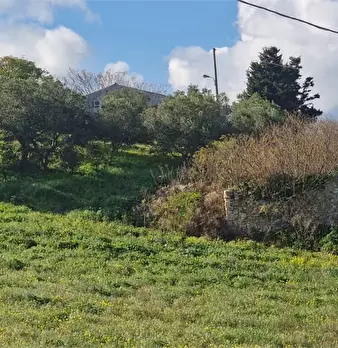 Foto annuncio 7